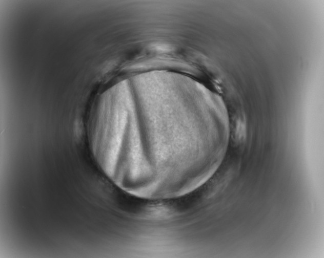 X0000088450704200706051306