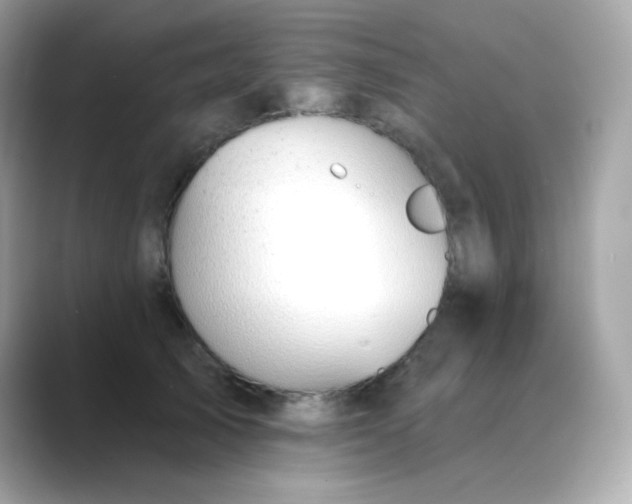 X0000088450705200706051306