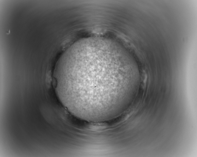 X0000088450707200706051306