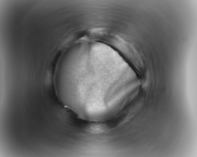 X0000088450708200706051306