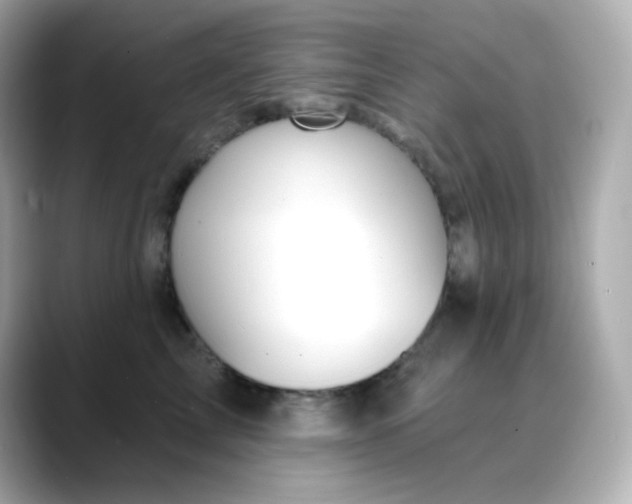 X0000088450713200706051306