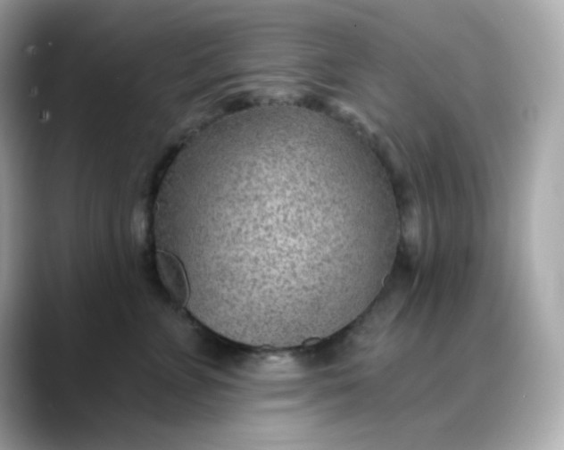 X0000088450715200706051306