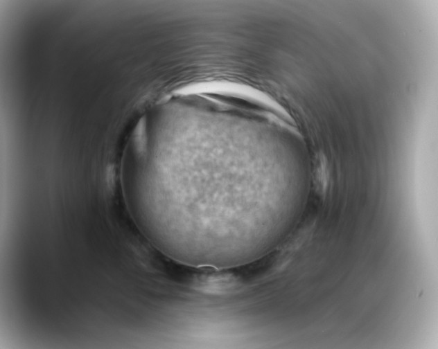 X0000088450716200706051306