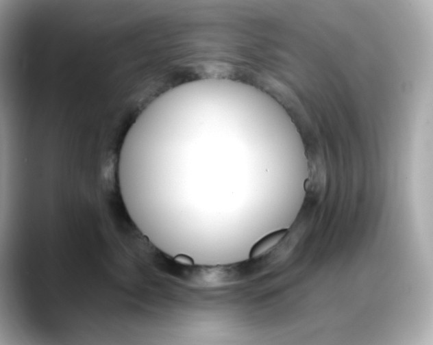 X0000088450717200706051306