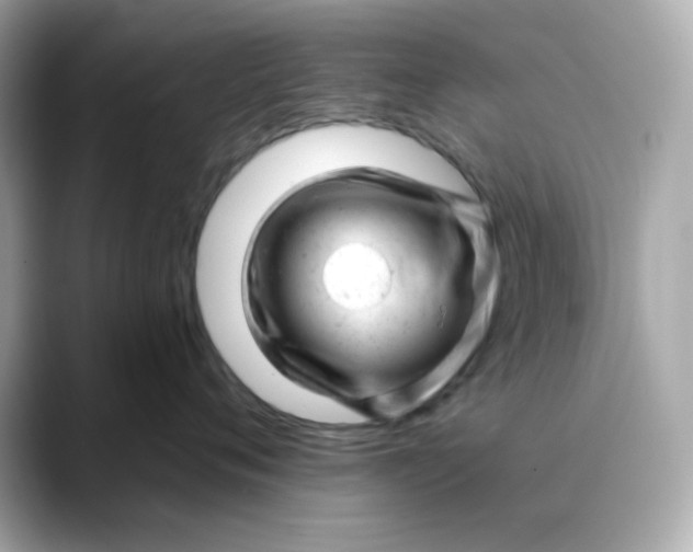 X0000088450720200706051306