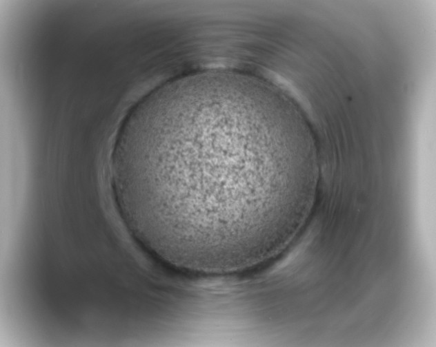 X0000088450721200706051306