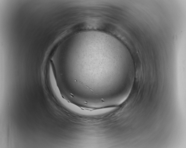 X0000088450722200706051306