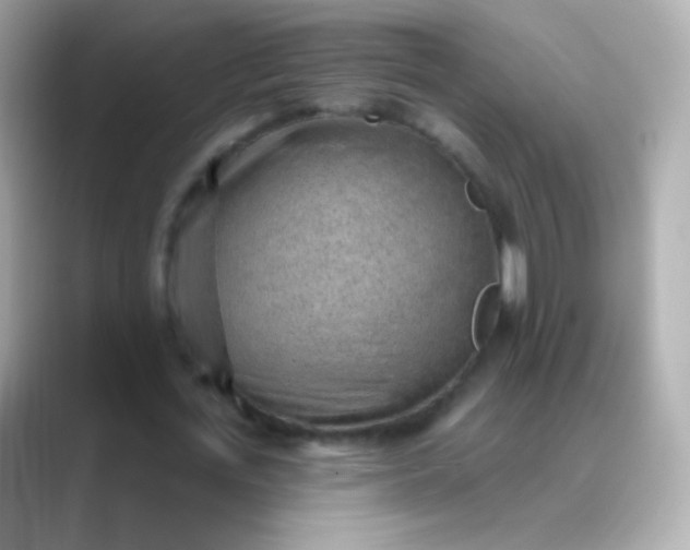 X0000088450723200706051306