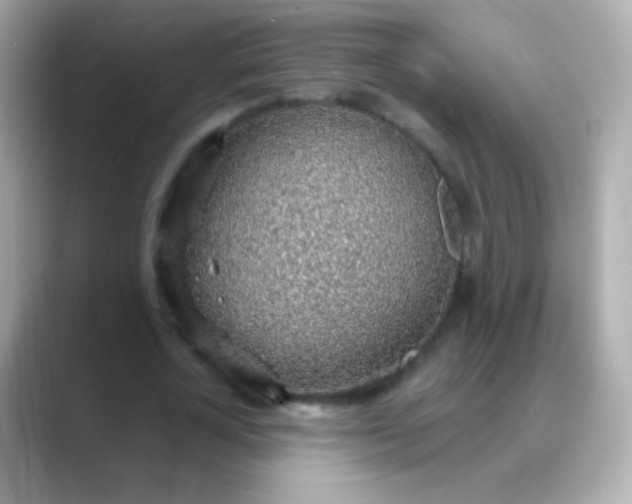 X0000088450724200706051306