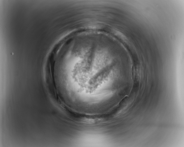 X0000088450726200706051306
