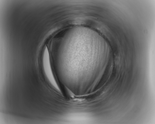 X0000088450727200706051306