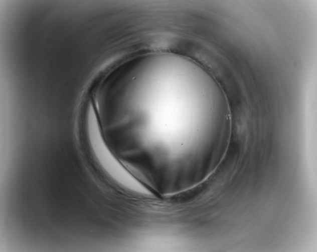 X0000088450728200706051306