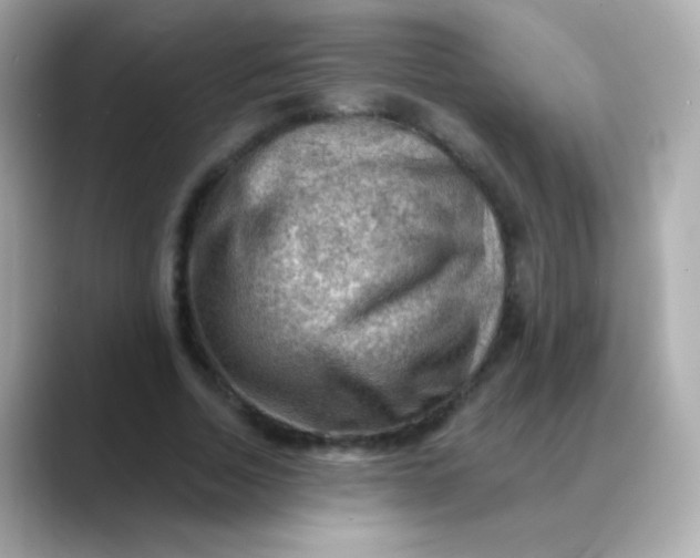X0000088450730200706051306