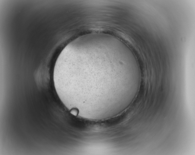 X0000088450731200706051306