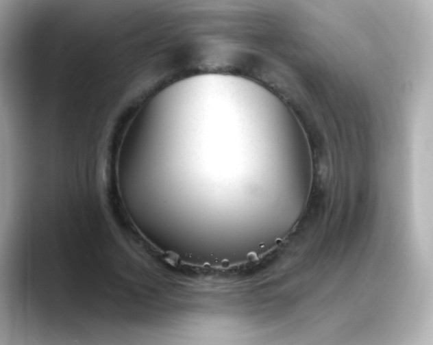 X0000088450732200706051306