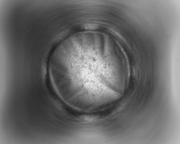 X0000088450733200706051306