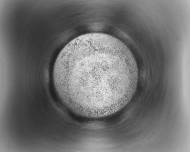X0000088450734200706051306