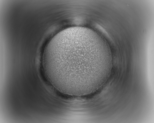 X0000088450736200706051306