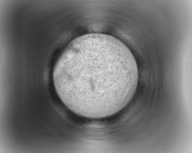 X0000088450738200706051306