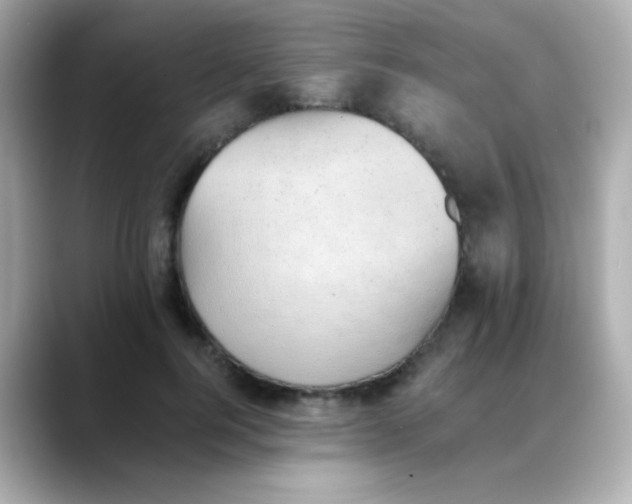 X0000088450744200706051306