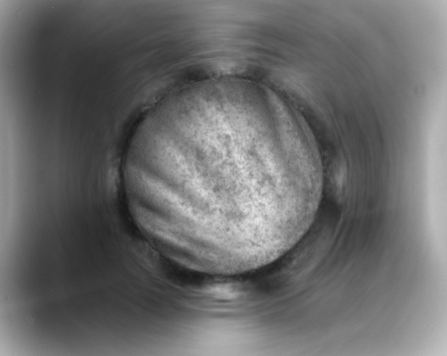 X0000088450746200706051306