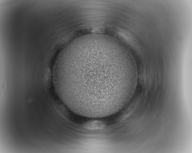 X0000088450748200706051306