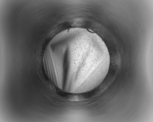 X0000088450755200706051306