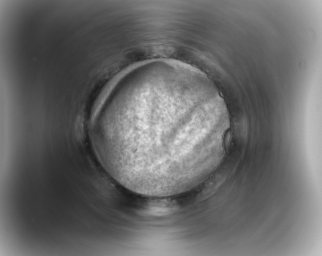 X0000088450757200706051306