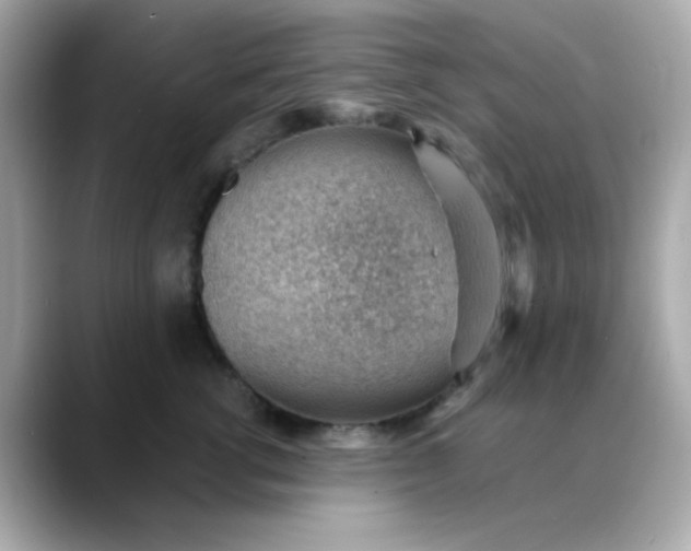 X0000088450762200706051306