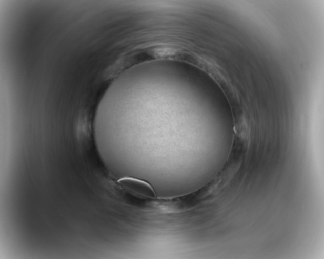X0000088450763200706051306