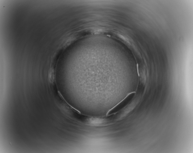 X0000088450766200706051306