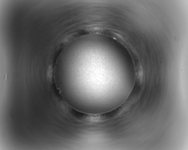 X0000088450767200706051306
