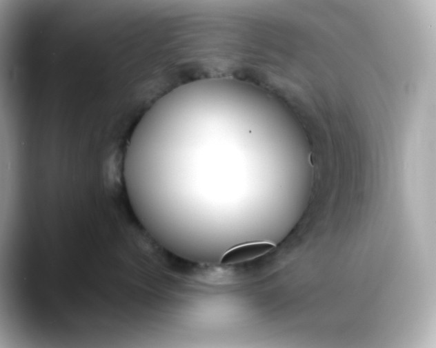 X0000088450768200706051306