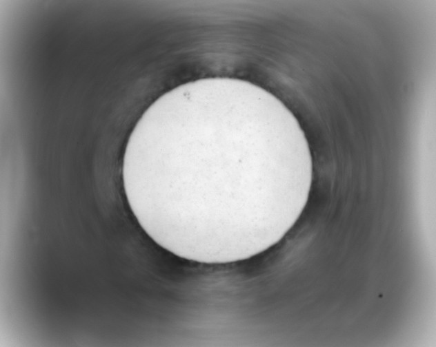 X0000088450769200706051306