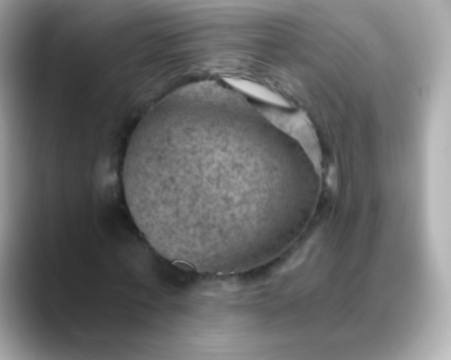 X0000088450771200706051305
