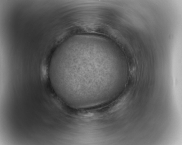 X0000088450772200706051305