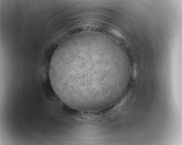 X0000088450774200706051305