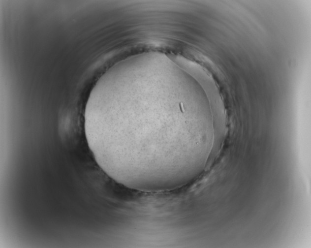 X0000088450776200706051305