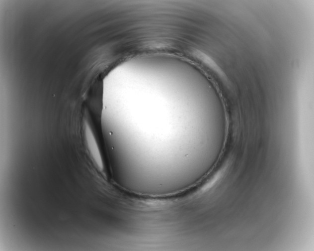 X0000088450777200706051305