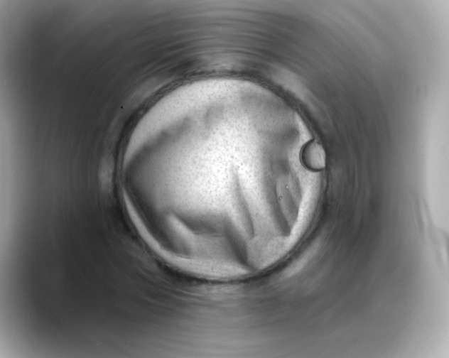 X0000088450778200706051305