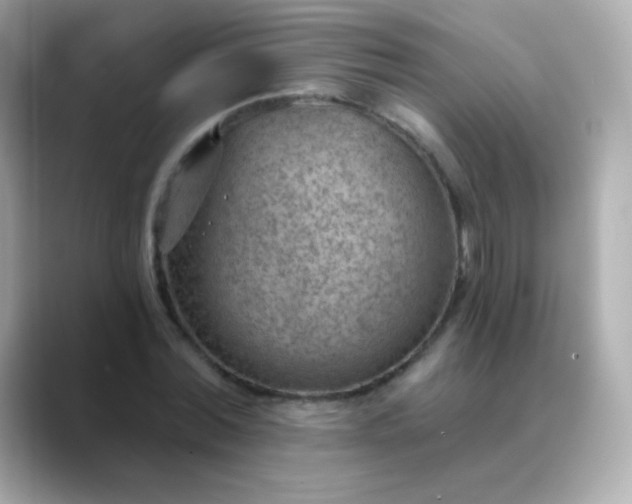 X0000088450780200706051305