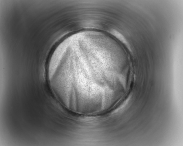 X0000088450782200706051305