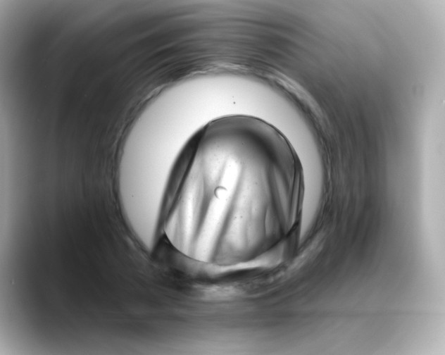X0000088450785200706051305