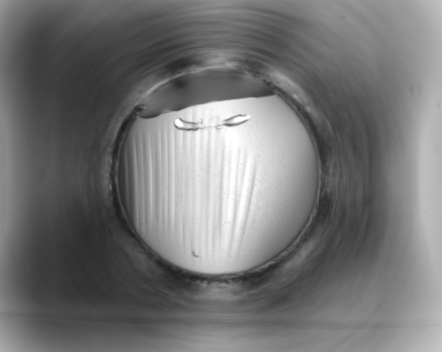 X0000088450786200706051305