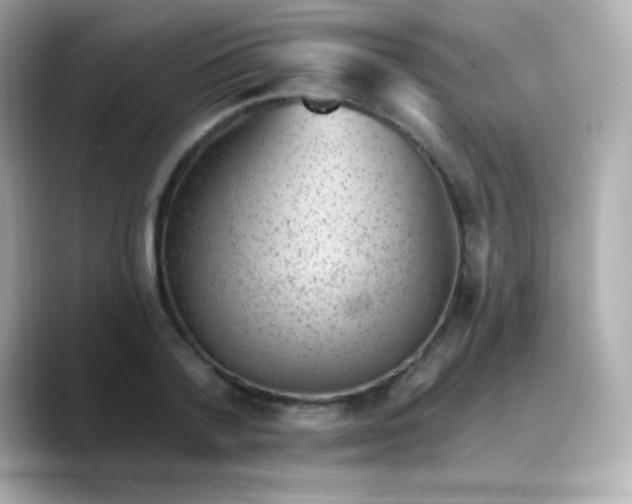X0000088450788200706051305