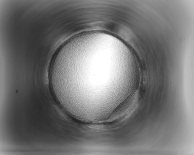 X0000088450789200706051305