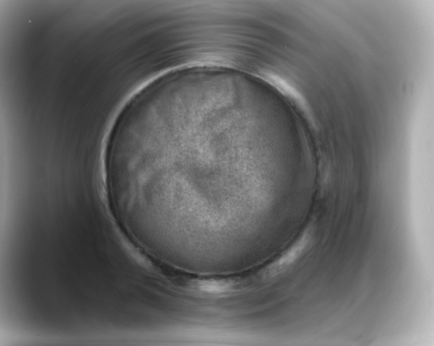 X0000088450792200706051305