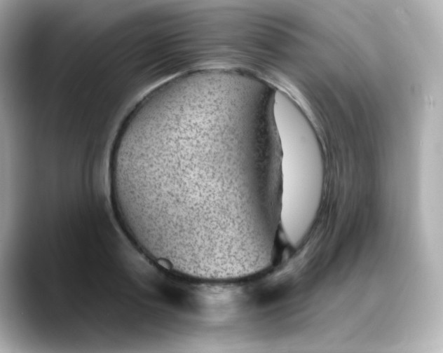 X0000088450795200706051305