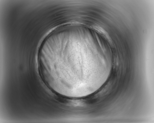X0000088450796200706051305