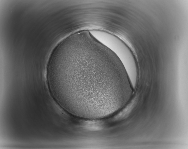 X0000088450797200706051305